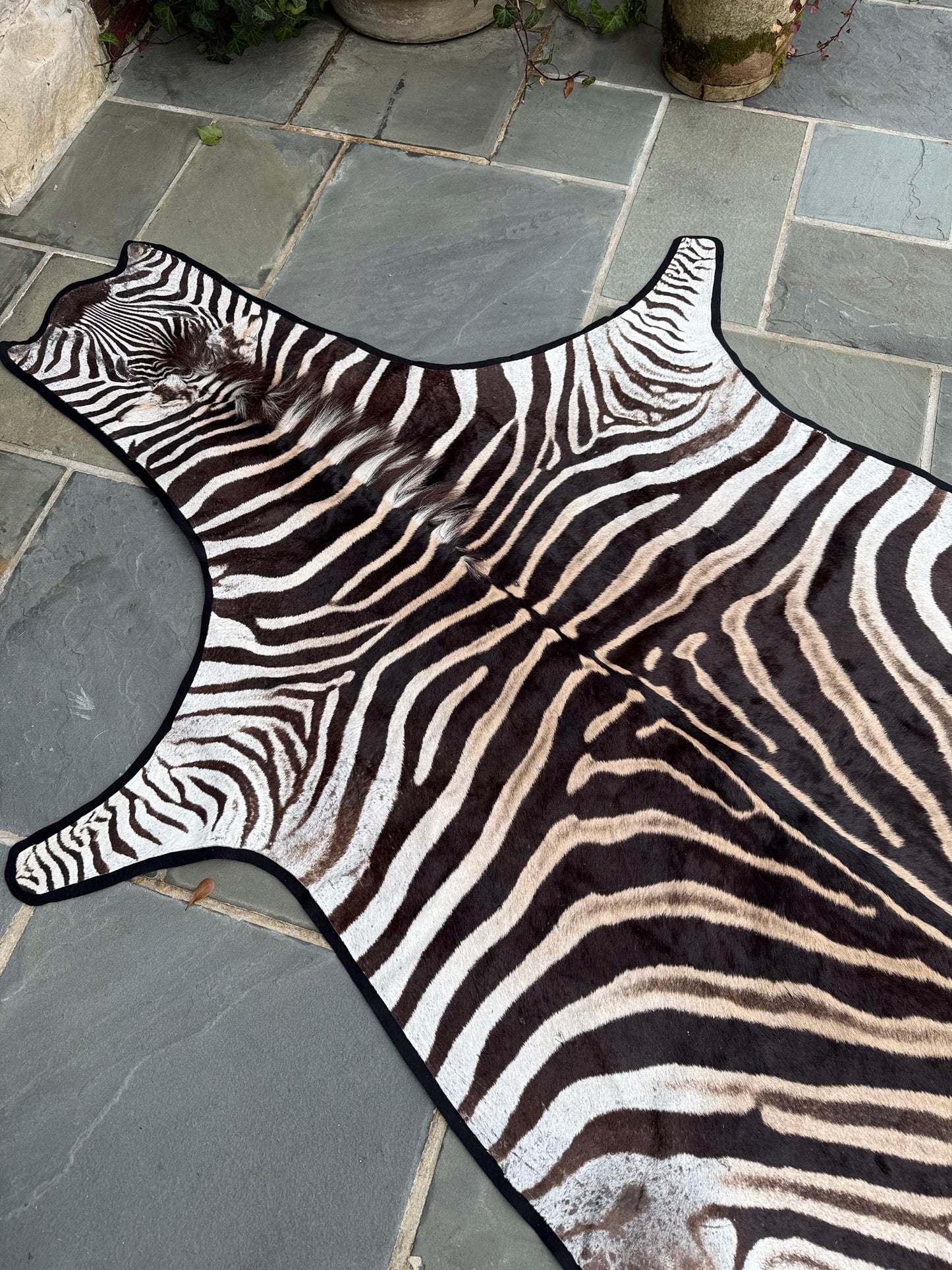 Grade A Small Zebra Hide