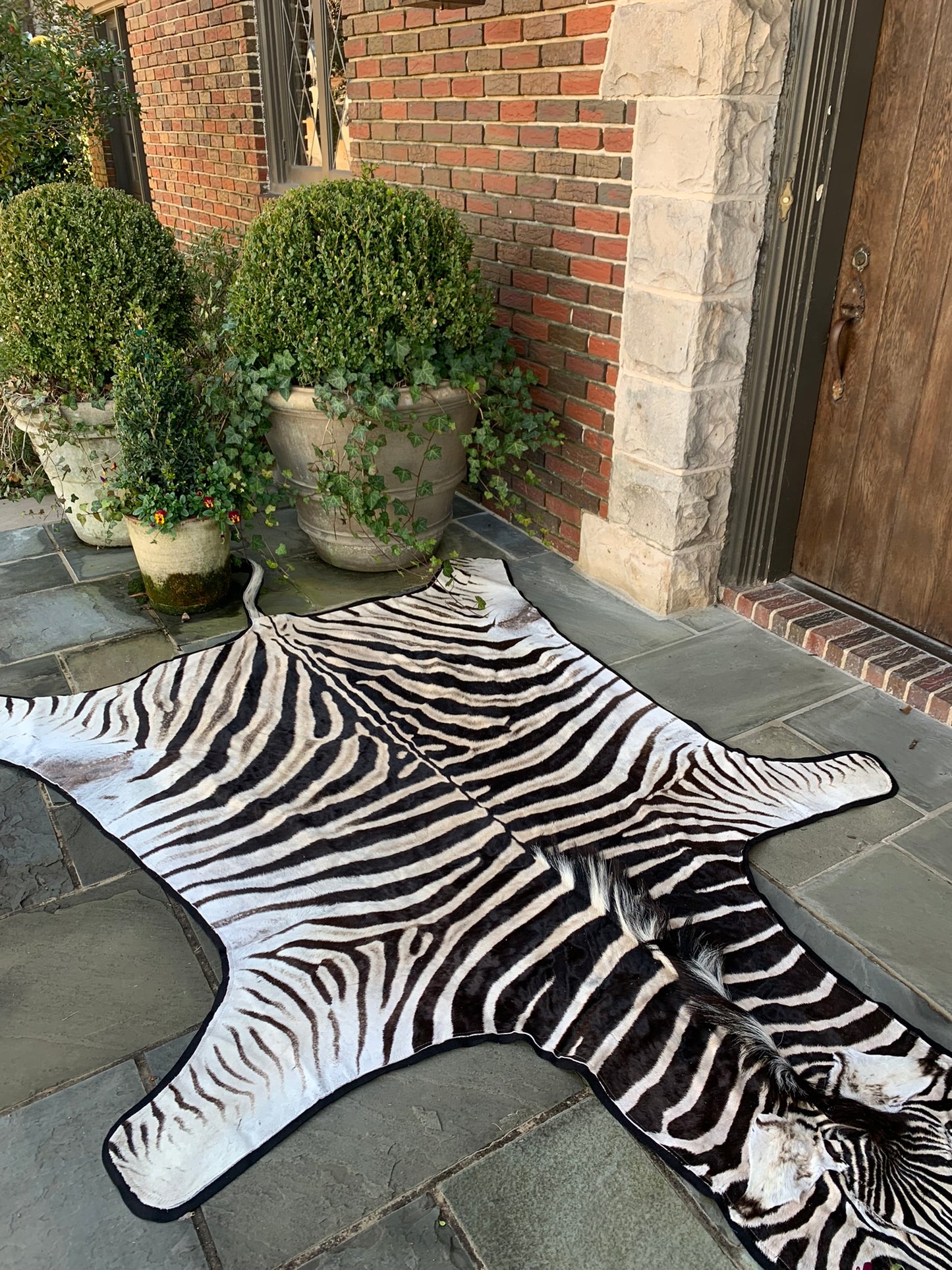 Grade A Zebra Hide
