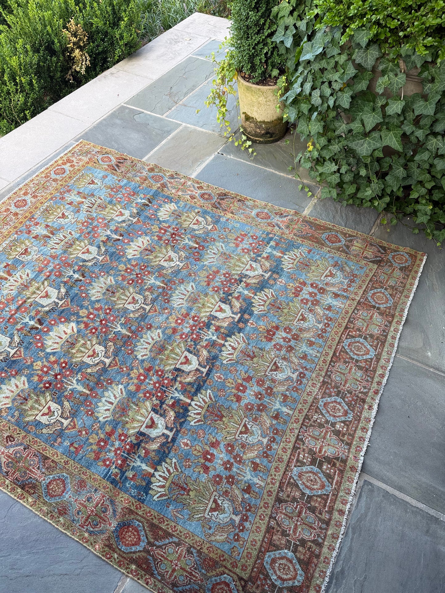 5x6.2 Antique Persian Afshar