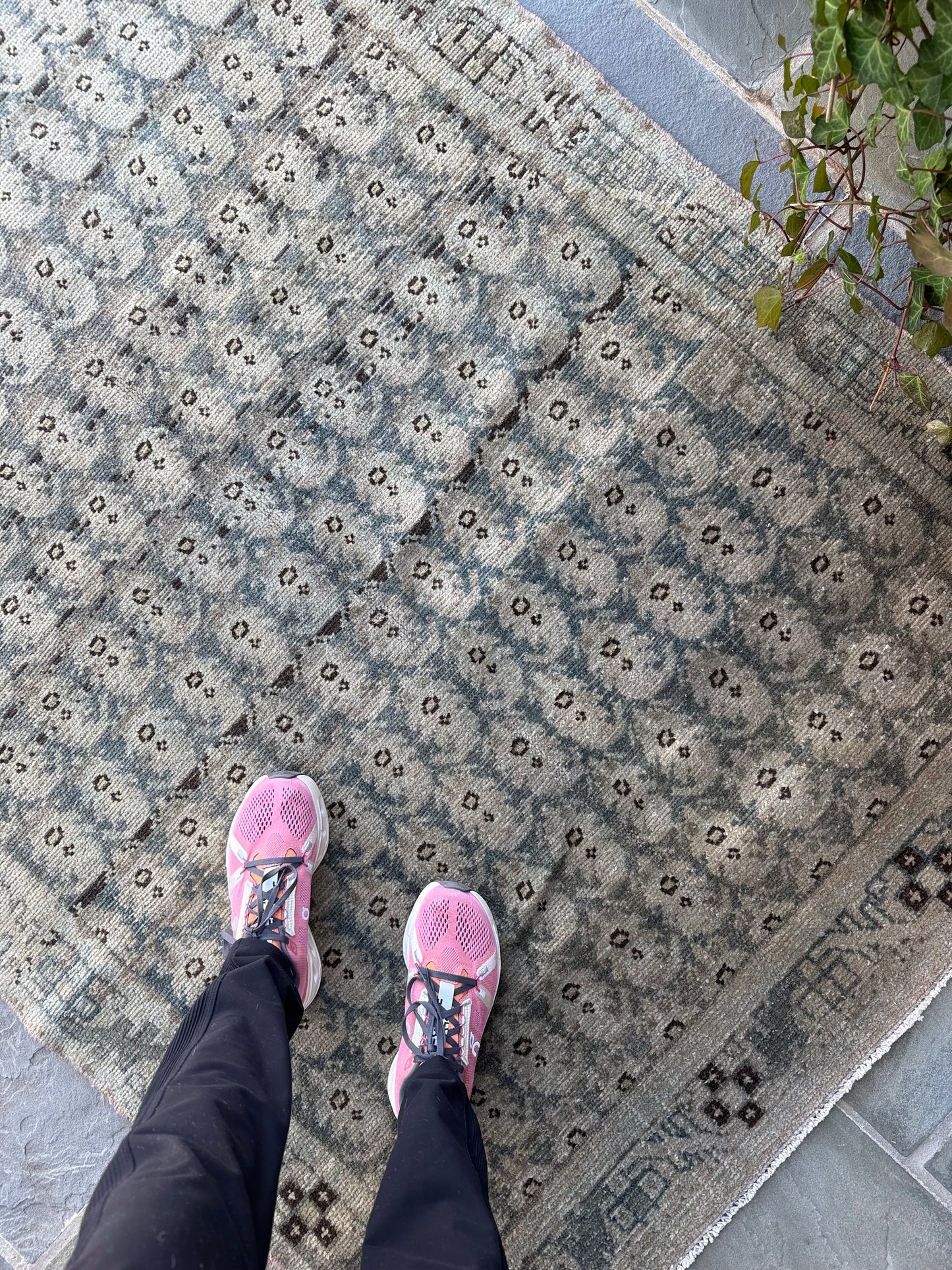 4x6.6 Antique Malayer