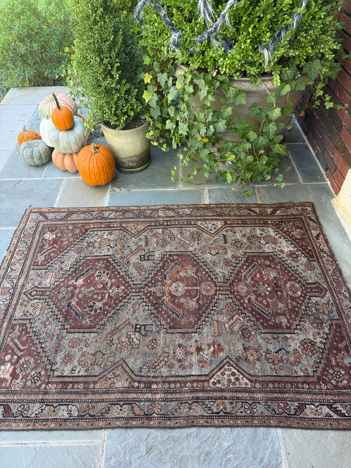 3.10x5.7 Antique Persian Shiraz