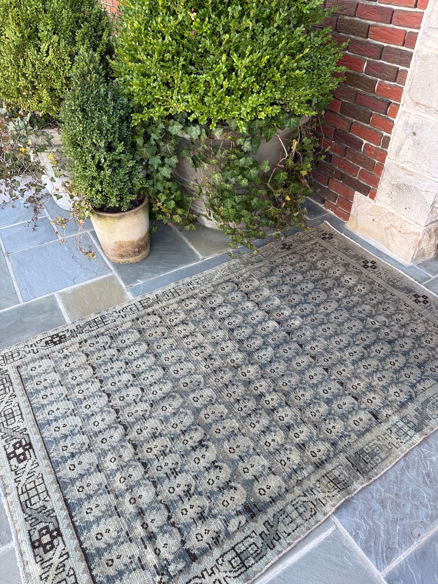 4x6.6 Antique Malayer