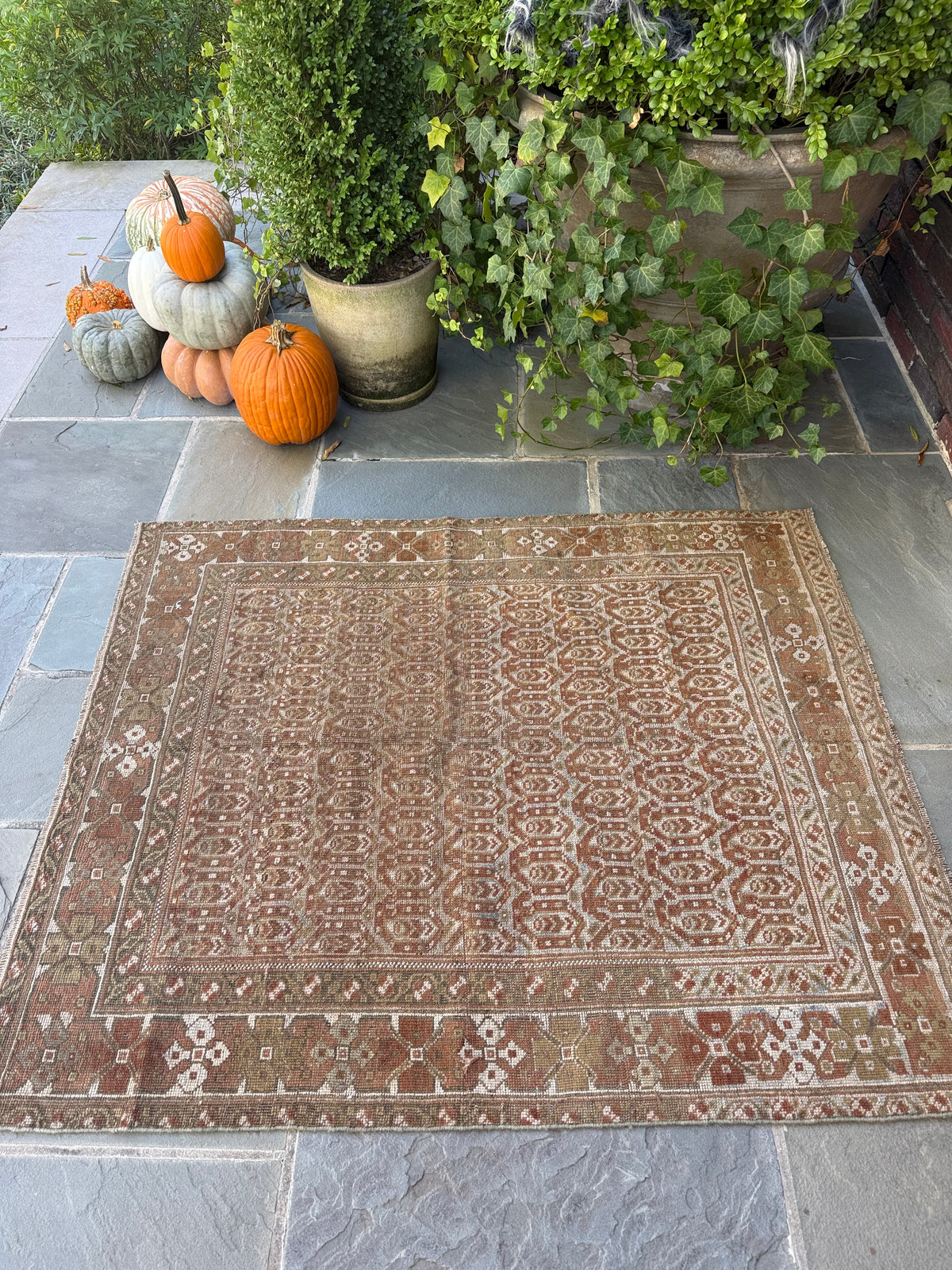 3.9x4.7 Antique Persian Malayer