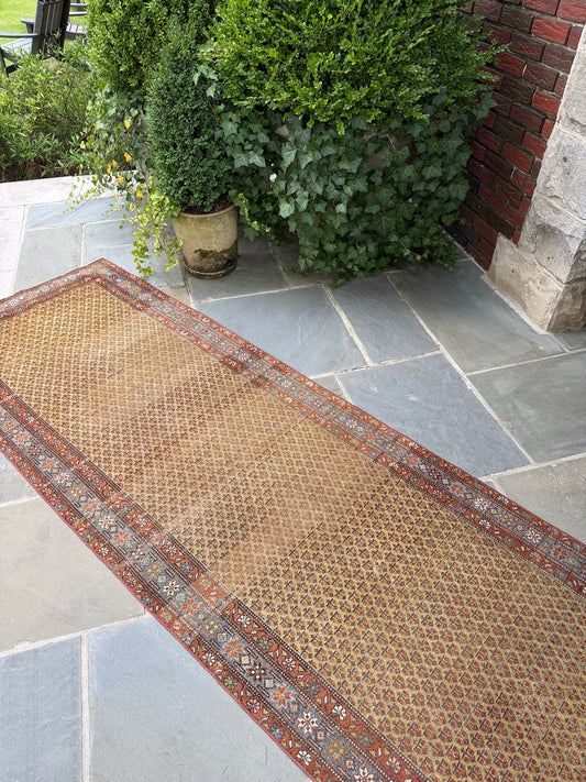 3.1x9.1 Antique Persian