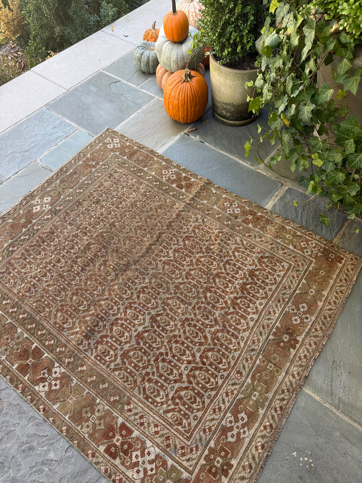 3.9x4.7 Antique Persian Malayer