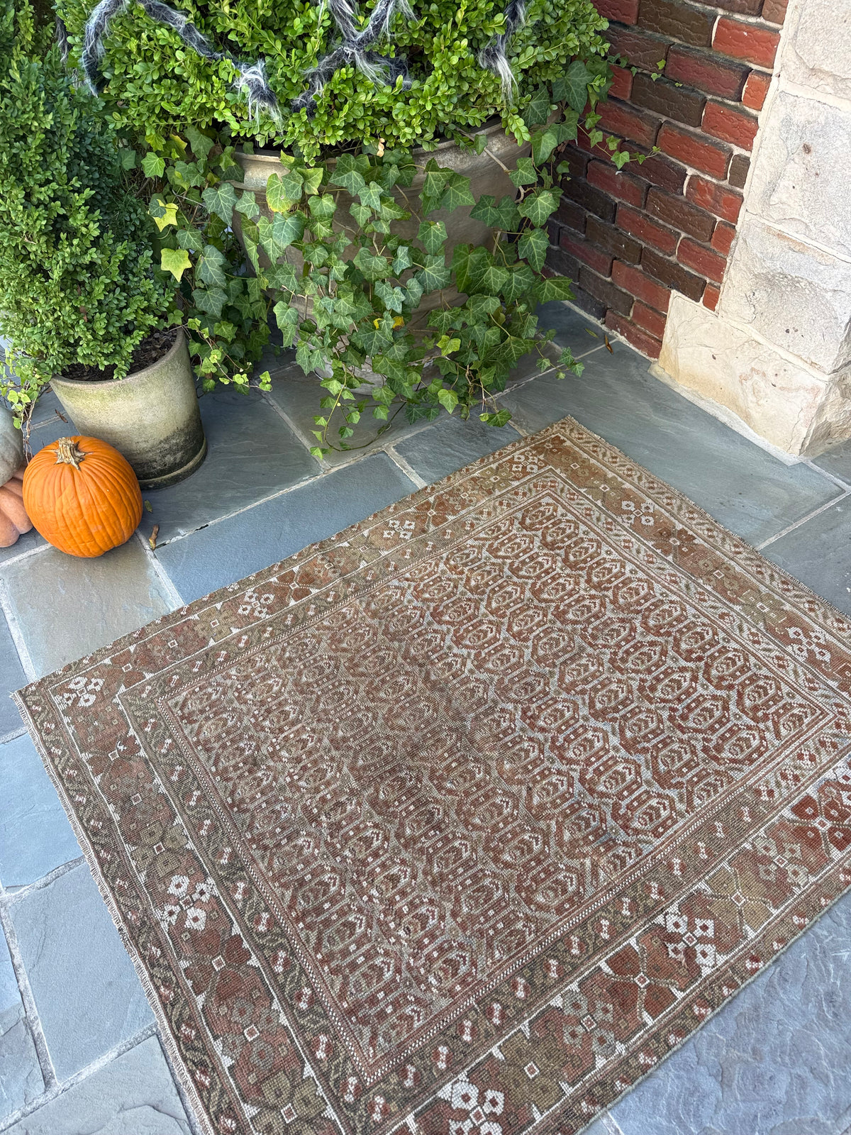 3.9x4.7 Antique Persian Malayer