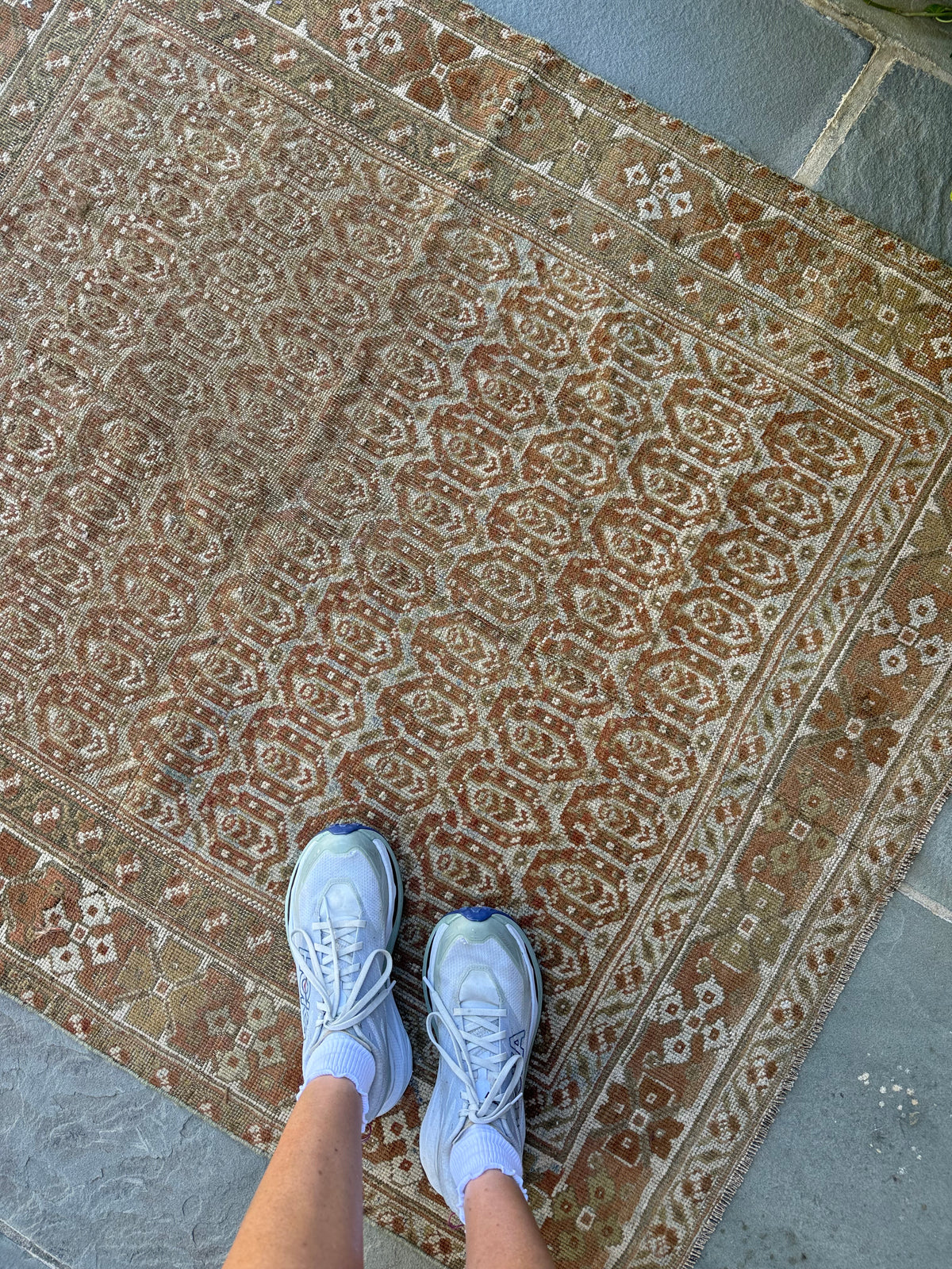 3.9x4.7 Antique Persian Malayer