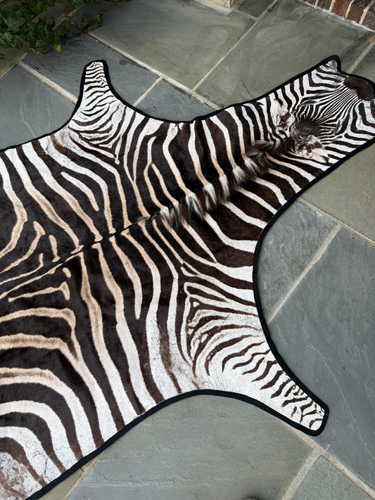 Zebra Hide - B Grade