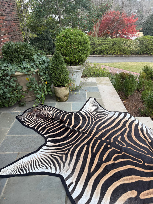 Large B Grade Zebra